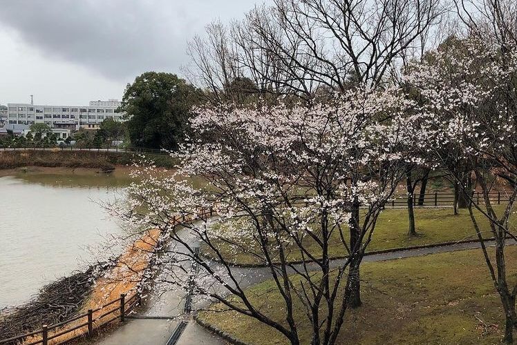 浦山公園のサムネール画像